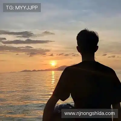 卫华淳